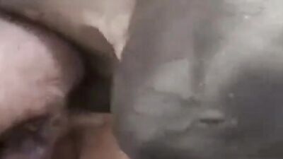 3d bestiality: porn zoo 2027