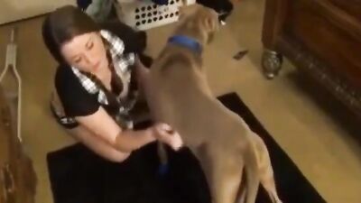 Dog pussy girls: animal farm porn