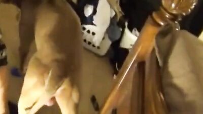 Dog pussy girls: animal farm porn
