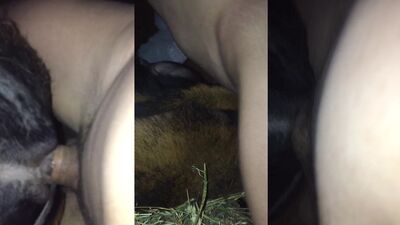 Dog girl anal: art of zoo coco