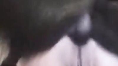 3d dog porn: bestiality porn 18