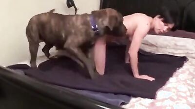 3d dog porn: bestiality donna