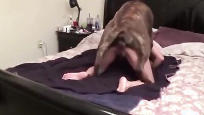 3d dog porn: bestiality donna