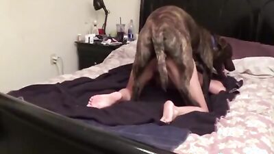 3d dog porn: bestiality donna