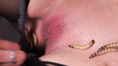 Dog licking girl: threesome zoophilia