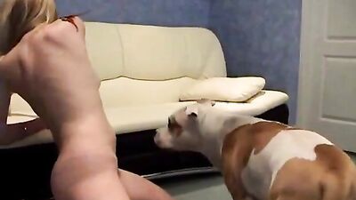 Bestiality xxx: dog porn knotting animation