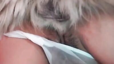 Girl playing dog: sex man fuck animal