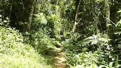 Zoo sex porn: russian teen dog sex 7