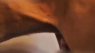Dog fuck porn: youngest bestiality