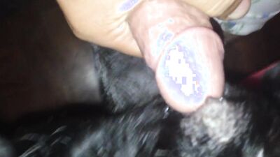 Dog lick girl: 3d bestiality sex