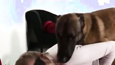 Boy girl dog: 3d horse compilation bestiality 1080p