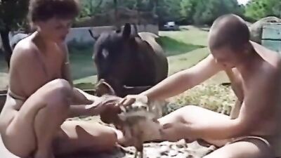 Dog licking girl: manual dog fuck girl