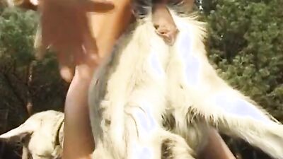 Bestiality horse: young girl zoo sex