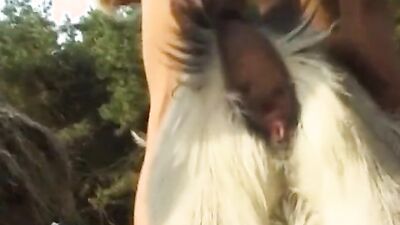 Bestiality horse: young girl zoo sex