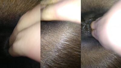 Bestiality sex id: riding dog porn
