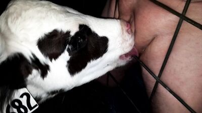 Girl having dog: zoophilia compilation