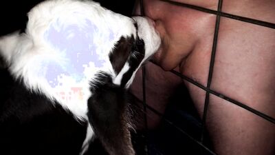 Girl having dog: zoophilia compilation
