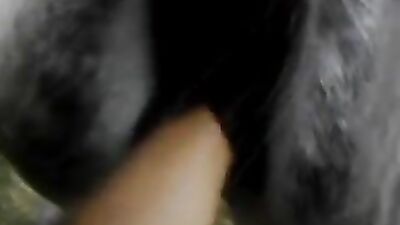 Russian zoo porn: hentai zoo sex