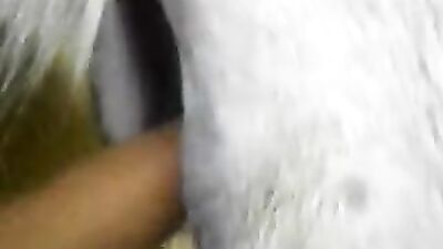 Russian zoo porn: hentai zoo sex