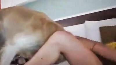 Zoo porn: tick zoo sex