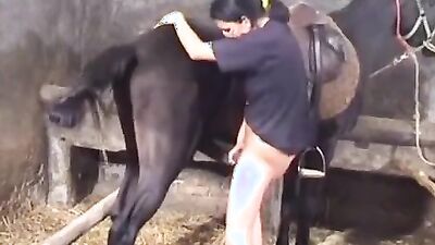 Zoo sex video: zoo animal dog sex porn