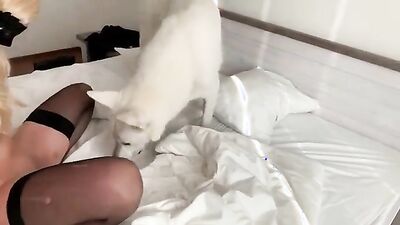 Art of zoo porn: porn video free zoo