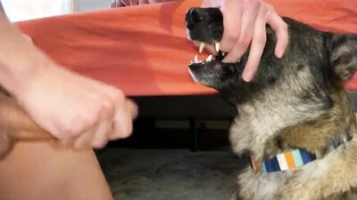 Mimi dog porn: real animal porn