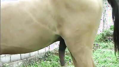 Girls s dogs: milf animal porno