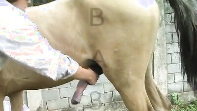 Girls s dogs: milf animal porno