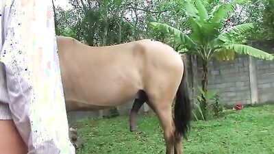 Girls s dogs: milf animal porno