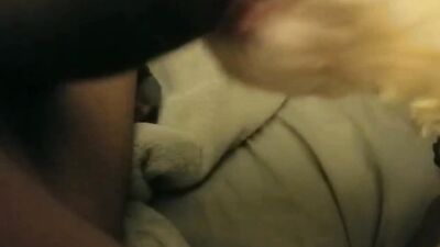 Zoo sex porn: animal sex comix
