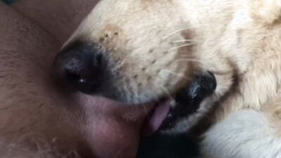 Teen dog sex: zoo sex alison