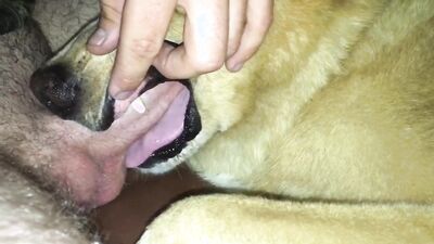 Teen dog sex: zoo sex alison