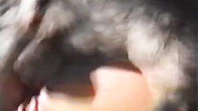 Zoo horse porn: mimi dog rule 34 porn