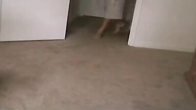 Zoo fucking porn: free animal sex