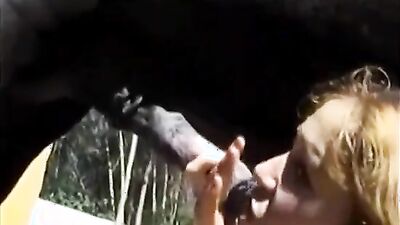 Bestiality porn: telegram dog girl