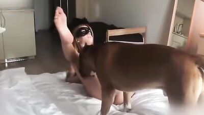 Dog get girl: zoo porn dog suck