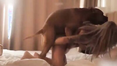 Dog get girl: zoo porn dog suck