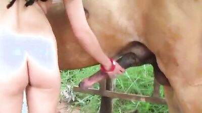 2 dogs 1 girl: sex animal fucking