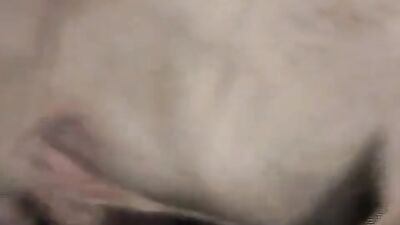 Zoo fuck porn: zoophilia big tits