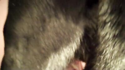 Zoo porn compilation: zoophilia video men