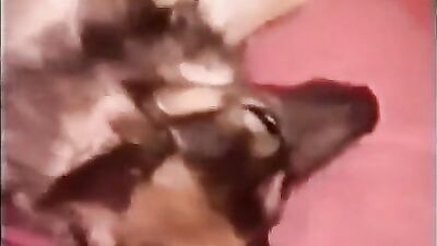 Zoo sex: extreme zoo porn