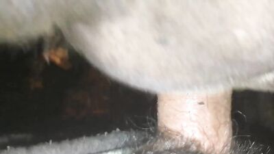 Bestiality hentai: zoo fucked condomin wife traym sex