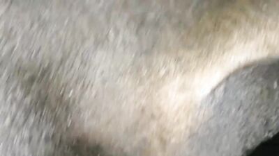 Bestiality hentai: zoo fucked condomin wife traym sex