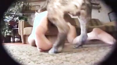 Dog get girl: zoo porn brazil