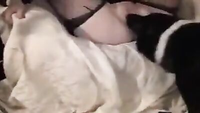 Bestiality porno: zoo sex tube