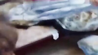 Girl cat dog: dog sex with pregnant wife