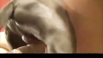 Zoophilia video: simone dog sex