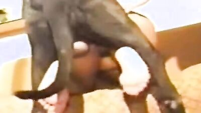 Bestiality hentai manga: animal porn mating tg channel