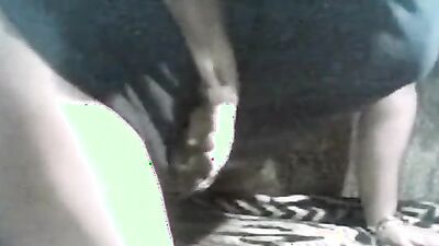 Animal dog sex: full video zoo